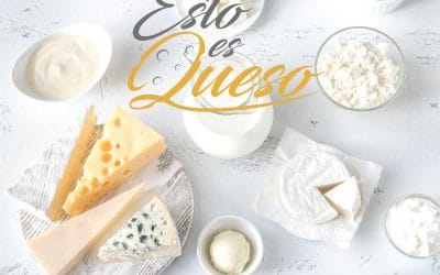 TIPOS DE QUESO. Parte 1