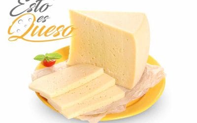 Todo lo que debes saber del Queso Semicurado