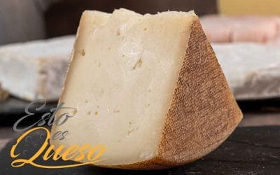 Todo lo que debes saber del queso curado