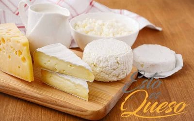 Todo lo que debes saber de los quesos cremosos