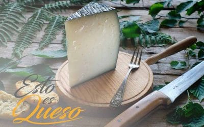 Todo lo que debes saber de los Quesos de Oveja