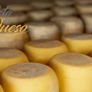 quesos españoles queso de cabra