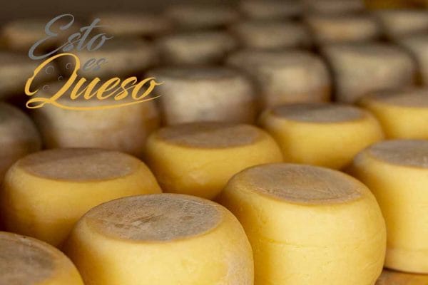 quesos españoles queso de cabra