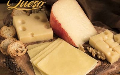 Todo lo que debes saber del queso ibérico