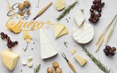 El queso: alimento de gran sabor, nutritivo y de bajo precio