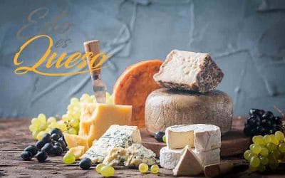 Las tiendas de quesos: Un sitio donde conseguir todas las versiones del alimento