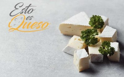 Queserías, un sitio para dar con el queso de tu preferencia