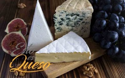 Quesería artesanal, la maravilla del sabor