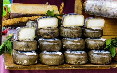 Queso Ibérico, más que un simple queso 