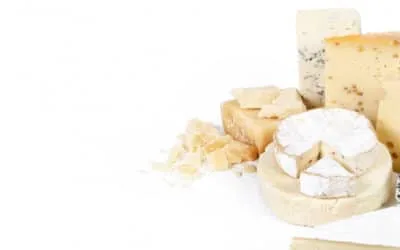 Quesos de Cabra: Una Excelencia Gastronómica